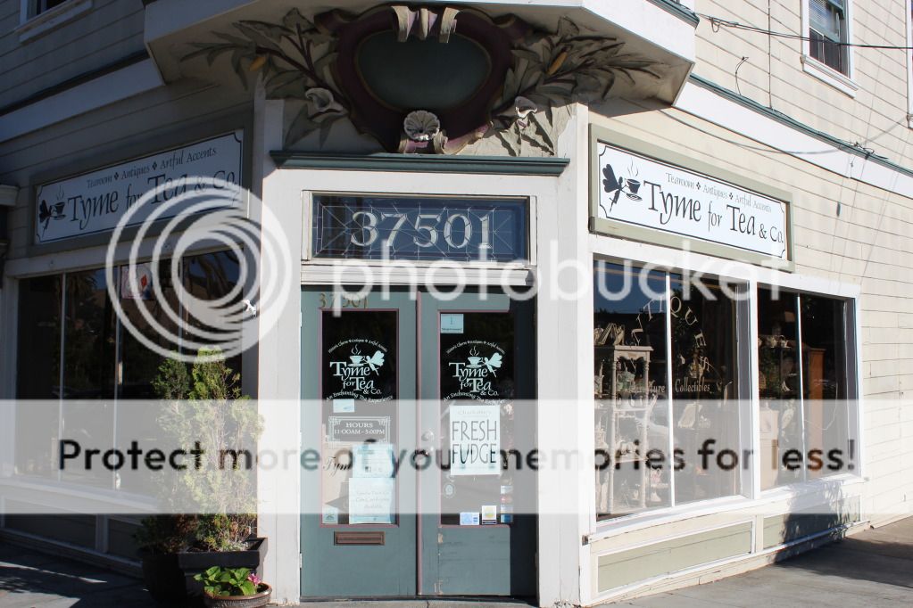 Eye On The View Niles Storefronts